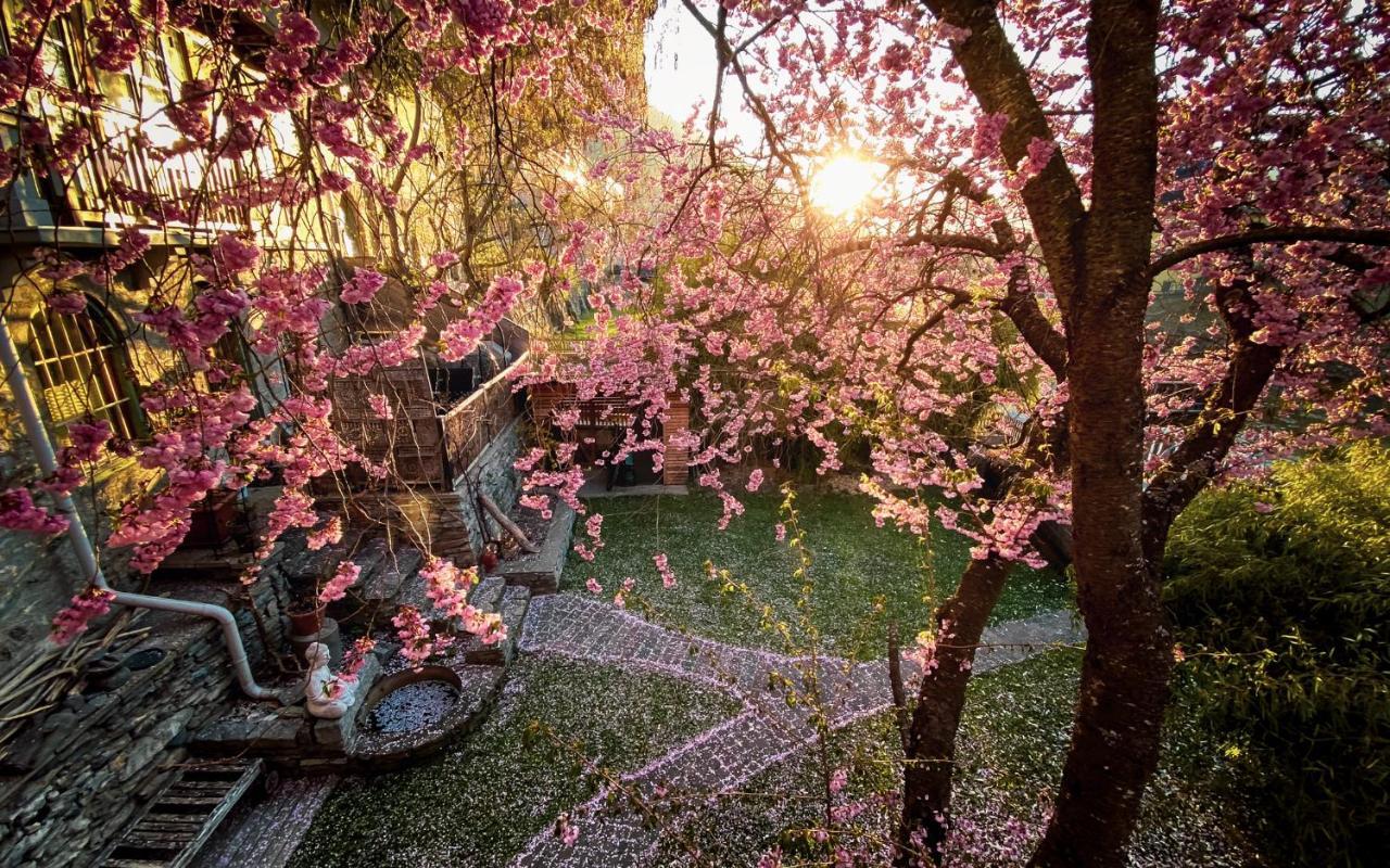 Gartenloft An Der Mur 穆劳 外观 照片