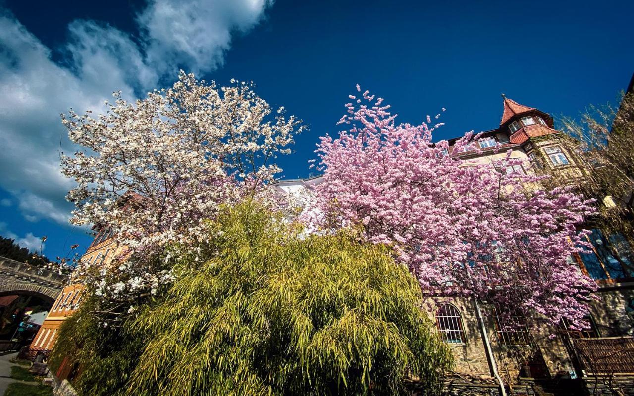 Gartenloft An Der Mur 穆劳 外观 照片
